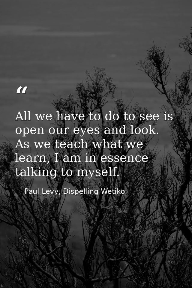 All we have to do to see is open our eyes and look. As we teach what we learn, I am in essence talking to myself. — Paul Levy, Dispelling Wetiko
