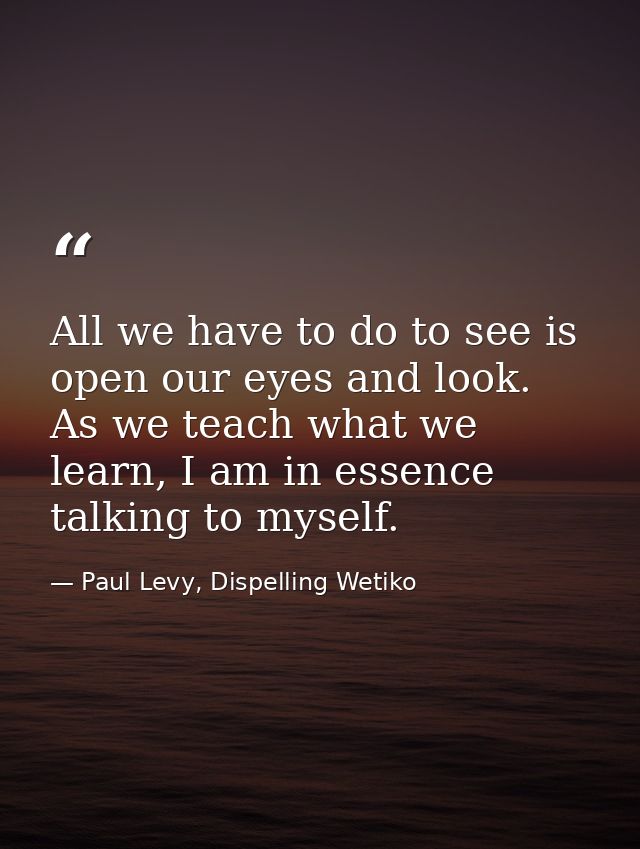All we have to do to see is open our eyes and look. As we teach what we learn, I am in essence talking to myself. — Paul Levy, Dispelling Wetiko