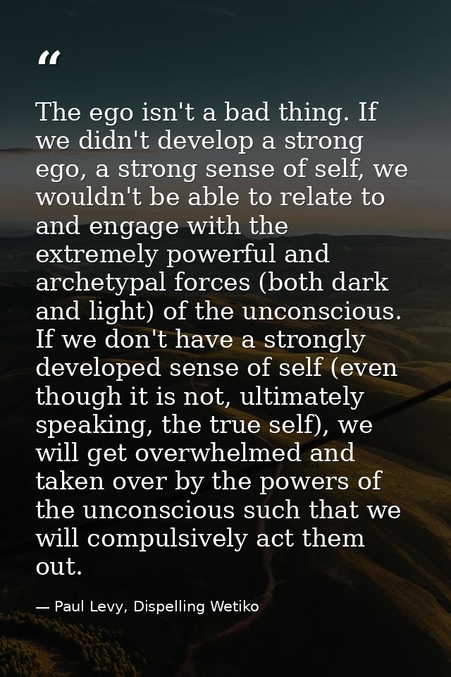 The ego isn't a bad thing. If we didn't develop a strong ego, a strong sense of self, we wouldn't be able to relate to a — Paul Levy, Dispelling Wetiko