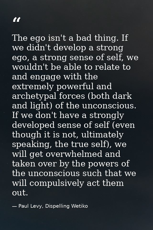 The ego isn't a bad thing. If we didn't develop a strong ego, a strong sense of self, we wouldn't be able to relate to a — Paul Levy, Dispelling Wetiko