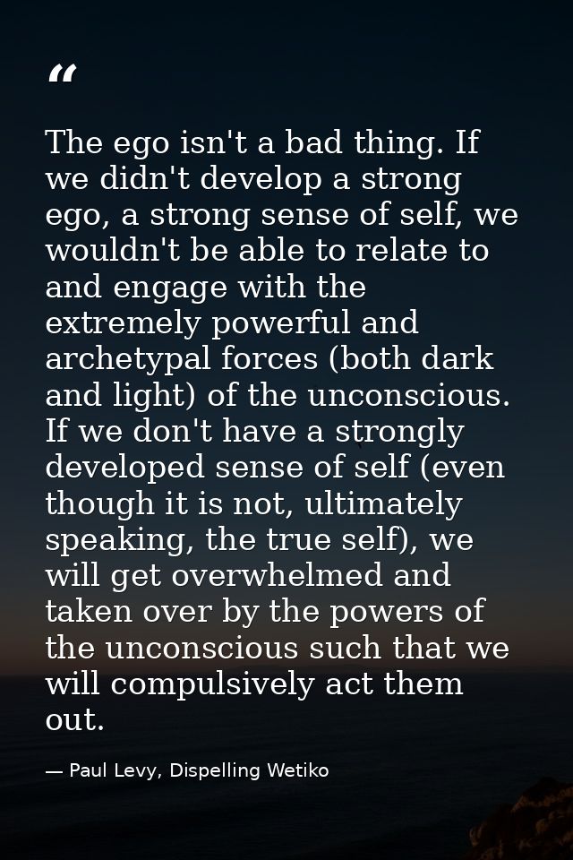 The ego isn't a bad thing. If we didn't develop a strong ego, a strong sense of self, we wouldn't be able to relate to a — Paul Levy, Dispelling Wetiko