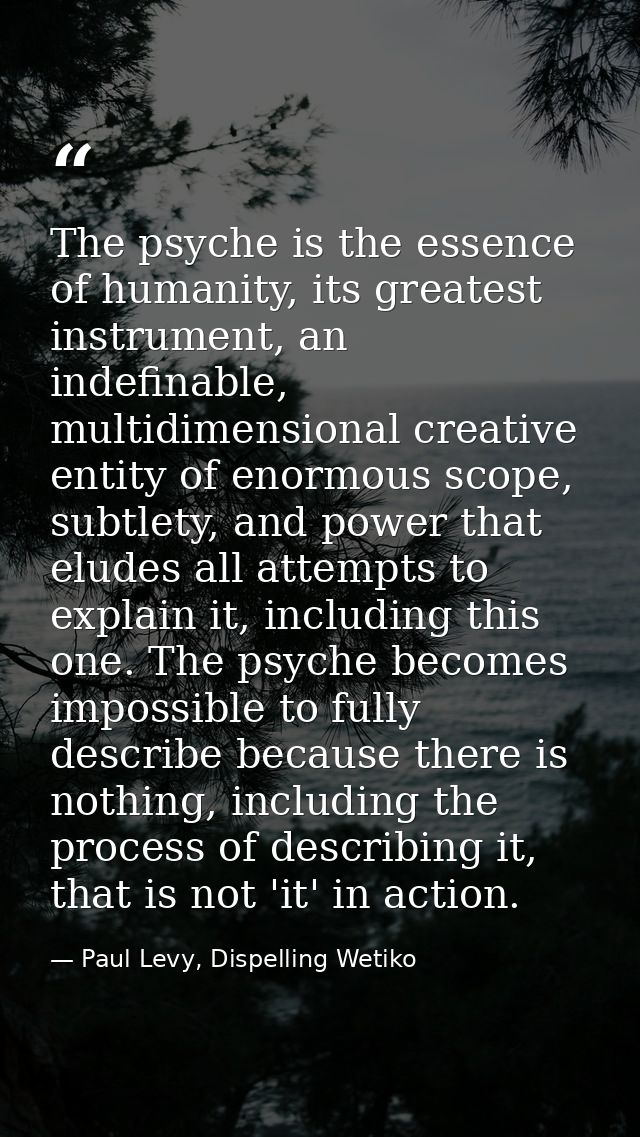 The psyche is the essence of humanity, its greatest instrument, an indefinable, multidimensional creative entity of enor — Paul Levy, Dispelling Wetiko