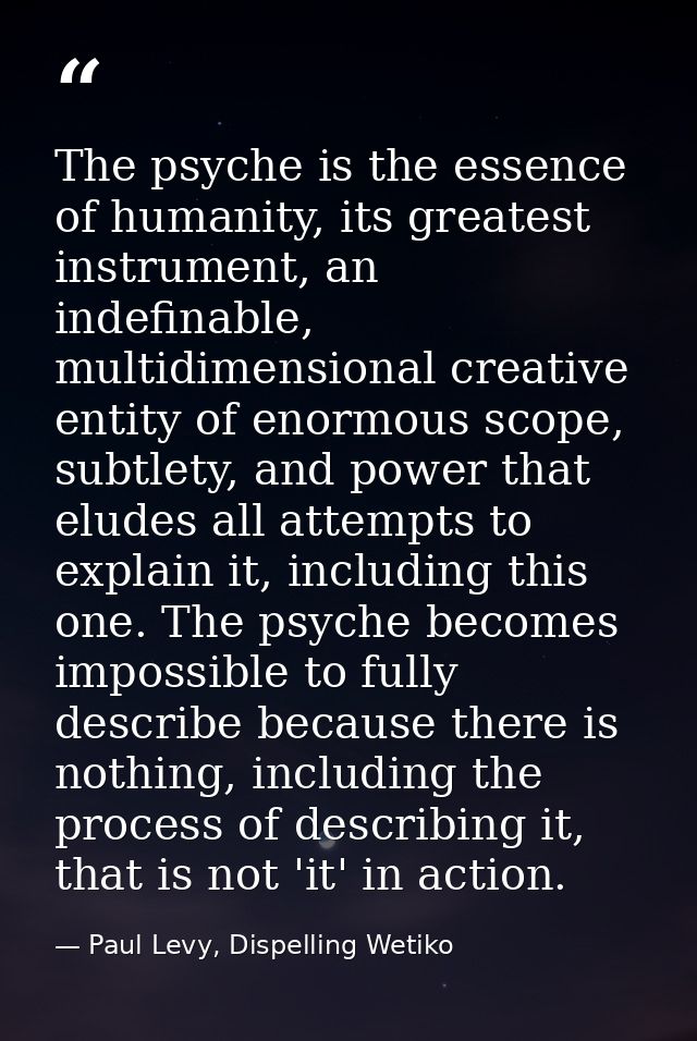 The psyche is the essence of humanity, its greatest instrument, an indefinable, multidimensional creative entity of enor — Paul Levy, Dispelling Wetiko