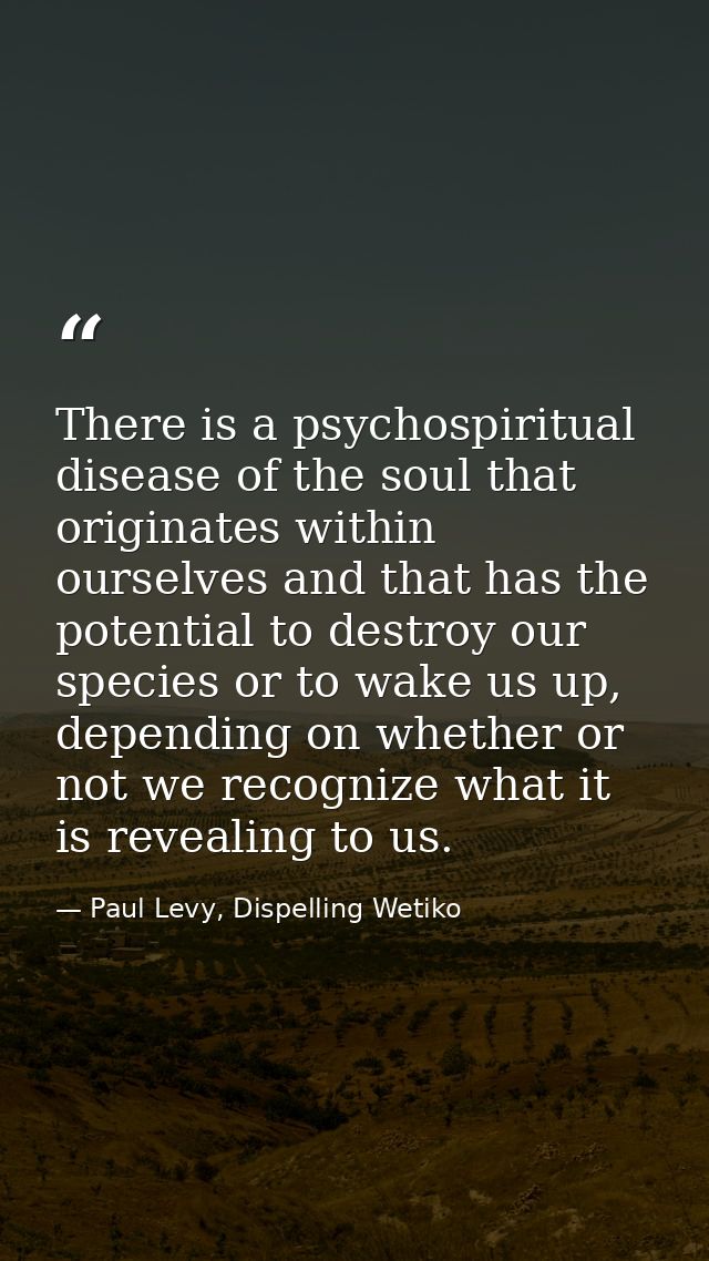 There is a psychospiritual disease of the soul that originates within ourselves and that has the potential to destroy ou — Paul Levy, Dispelling Wetiko