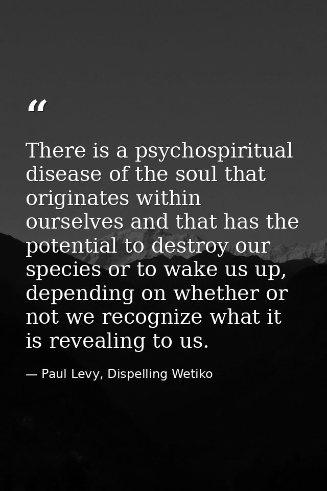 There is a psychospiritual disease of the soul that originates within ourselves and that has the potential to destroy ou — Paul Levy, Dispelling Wetiko