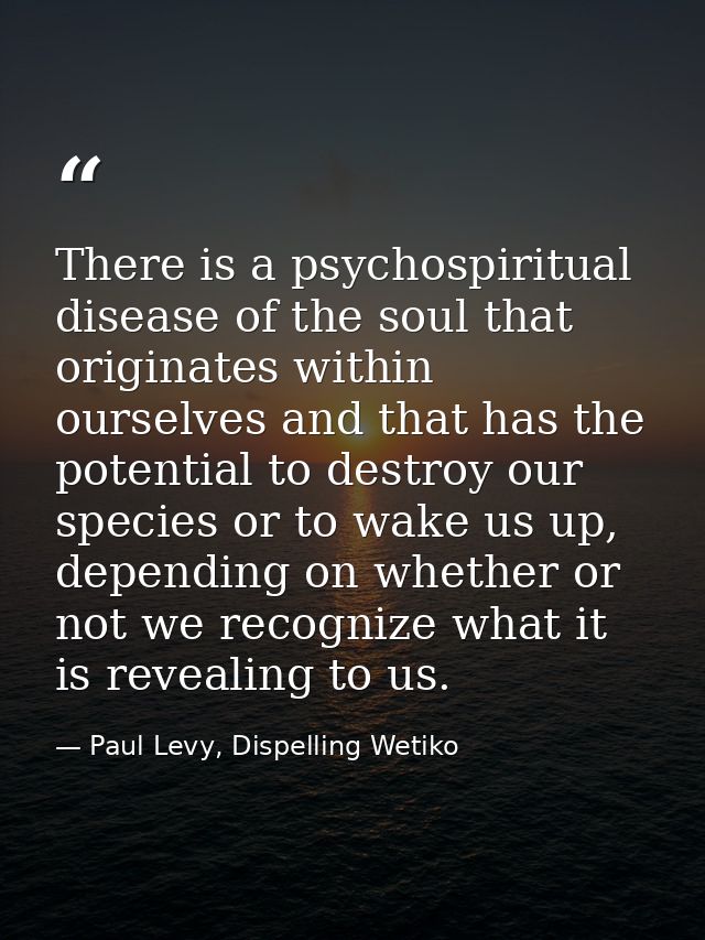 There is a psychospiritual disease of the soul that originates within ourselves and that has the potential to destroy ou — Paul Levy, Dispelling Wetiko