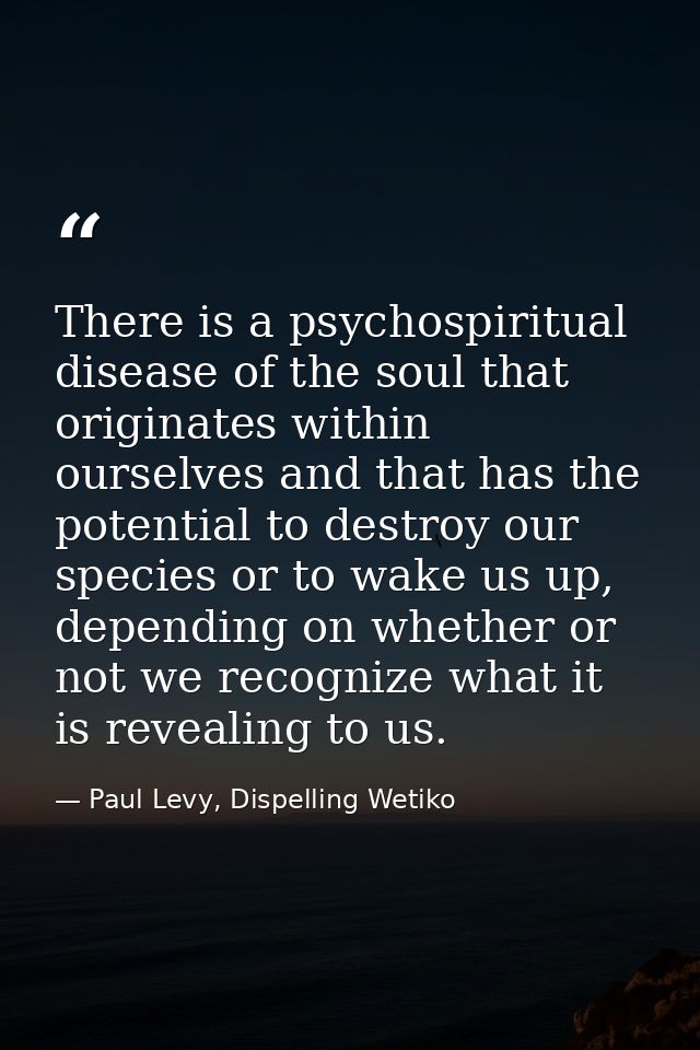 There is a psychospiritual disease of the soul that originates within ourselves and that has the potential to destroy ou — Paul Levy, Dispelling Wetiko