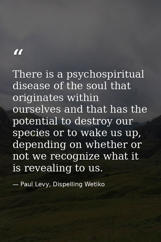There is a psychospiritual disease of the soul that originates within ourselves and that has the potential to destroy ou — Paul Levy, Dispelling Wetiko