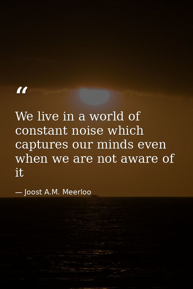 We live in a world of constant noise which captures our minds even when we are not aware of it — Joost A.M. Meerloo