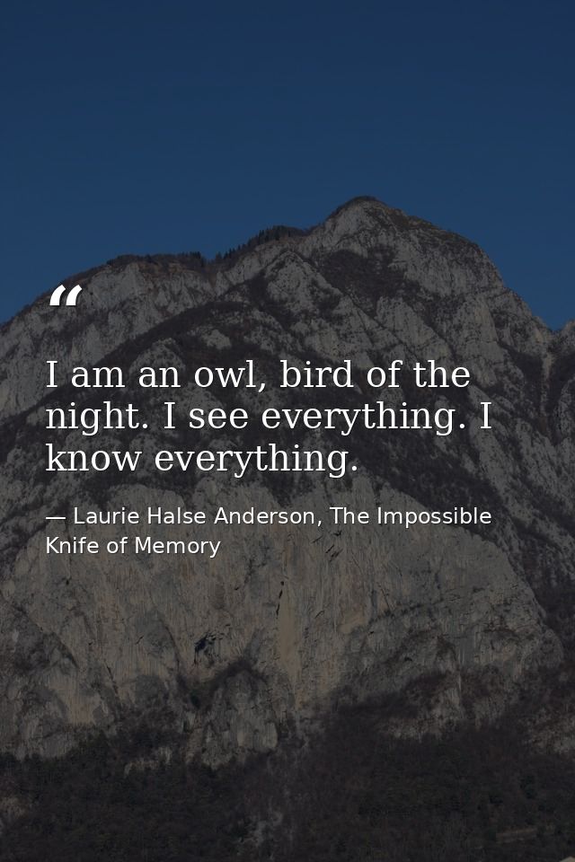 I am an owl, bird of the night. I see everything. I know everything. — Laurie Halse Anderson, The Impossible Knife of Memory
