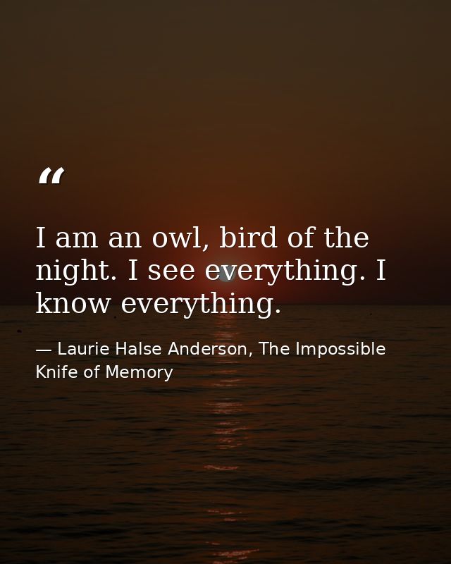 I am an owl, bird of the night. I see everything. I know everything. — Laurie Halse Anderson, The Impossible Knife of Memory