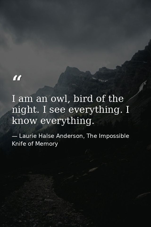 I am an owl, bird of the night. I see everything. I know everything. — Laurie Halse Anderson, The Impossible Knife of Memory