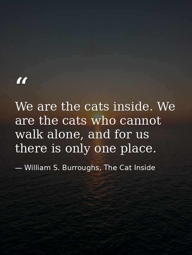 We are the cats inside. We are the cats who cannot walk alone, and for us there is only one place. — William S. Burroughs, The Cat Inside