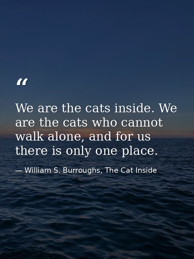 We are the cats inside. We are the cats who cannot walk alone, and for us there is only one place. — William S. Burroughs, The Cat Inside