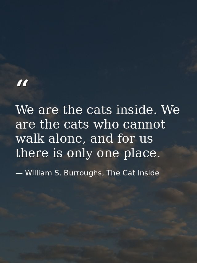 We are the cats inside. We are the cats who cannot walk alone, and for us there is only one place. — William S. Burroughs, The Cat Inside