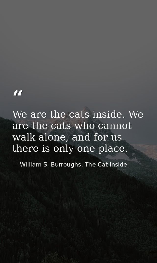 We are the cats inside. We are the cats who cannot walk alone, and for us there is only one place. — William S. Burroughs, The Cat Inside