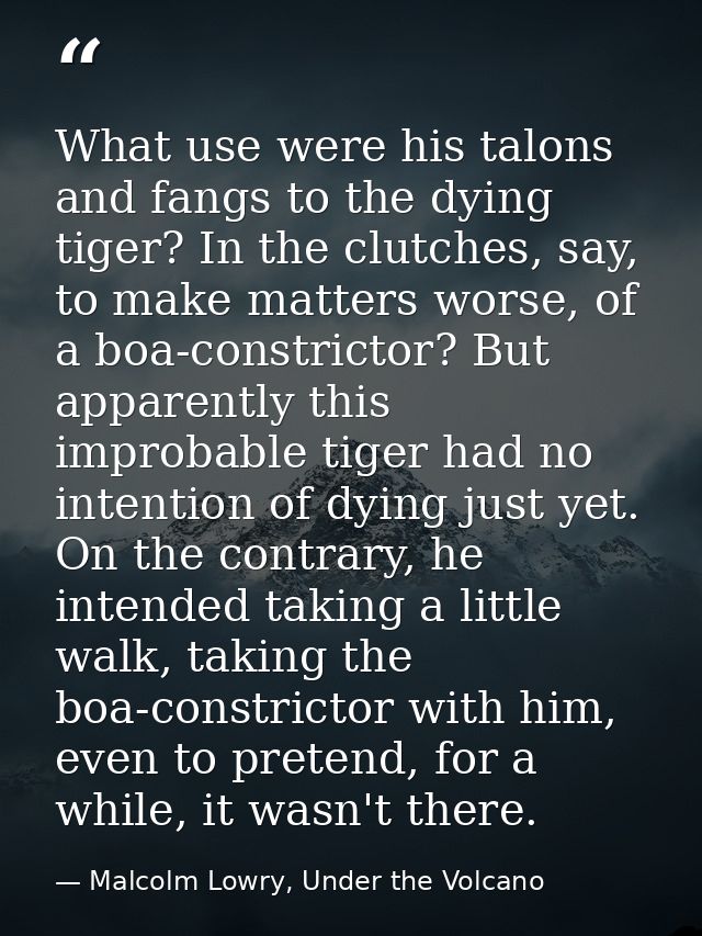 What use were his talons and fangs to the dying tiger? In the clutches, say, to make matters worse, of a boa-constrictor — Malcolm Lowry, Under the Volcano