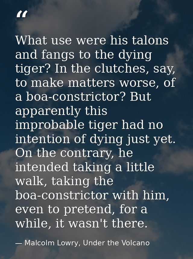 What use were his talons and fangs to the dying tiger? In the clutches, say, to make matters worse, of a boa-constrictor — Malcolm Lowry, Under the Volcano