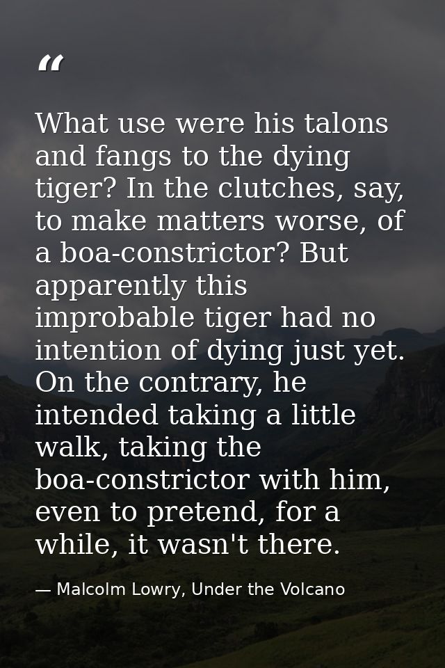 What use were his talons and fangs to the dying tiger? In the clutches, say, to make matters worse, of a boa-constrictor — Malcolm Lowry, Under the Volcano