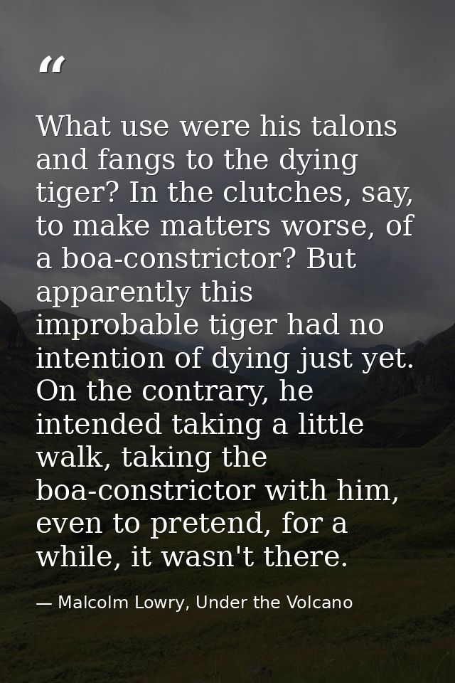 What use were his talons and fangs to the dying tiger? In the clutches, say, to make matters worse, of a boa-constrictor — Malcolm Lowry, Under the Volcano