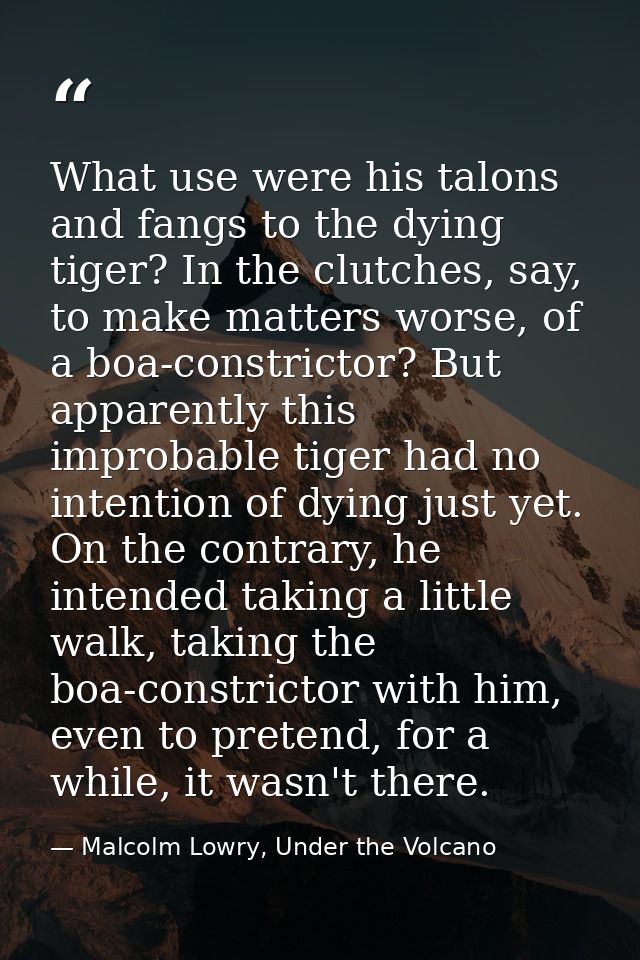 What use were his talons and fangs to the dying tiger? In the clutches, say, to make matters worse, of a boa-constrictor — Malcolm Lowry, Under the Volcano