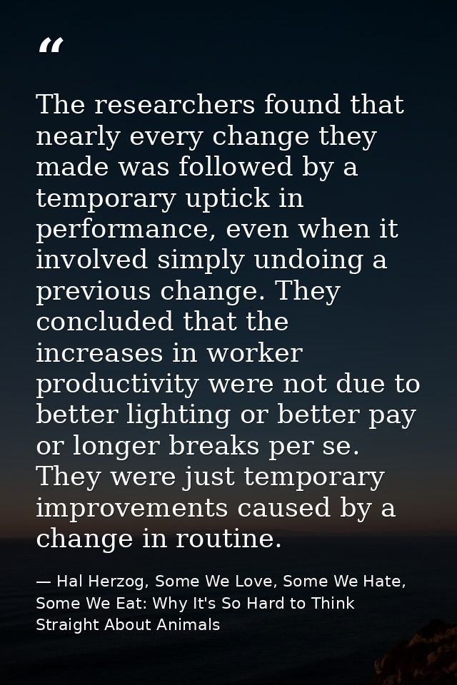 The researchers found that nearly every change they made was followed by a temporary uptick in performance, even when it — Hal Herzog, Some We Love, Some We Hate, Some We Eat: Why It's So Hard to Think Straight About Animals