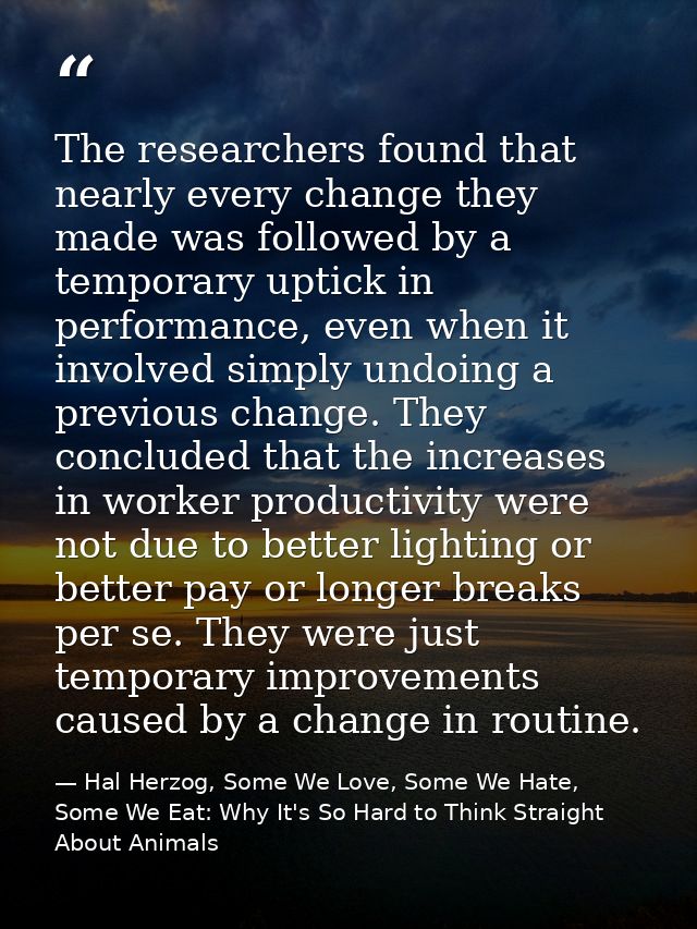 The researchers found that nearly every change they made was followed by a temporary uptick in performance, even when it — Hal Herzog, Some We Love, Some We Hate, Some We Eat: Why It's So Hard to Think Straight About Animals
