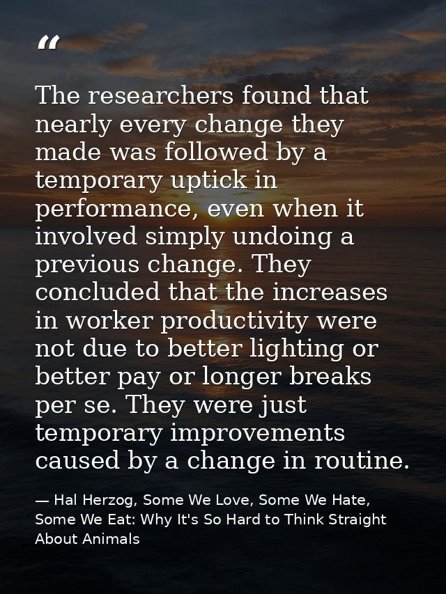 The researchers found that nearly every change they made was followed by a temporary uptick in performance, even when it — Hal Herzog, Some We Love, Some We Hate, Some We Eat: Why It's So Hard to Think Straight About Animals