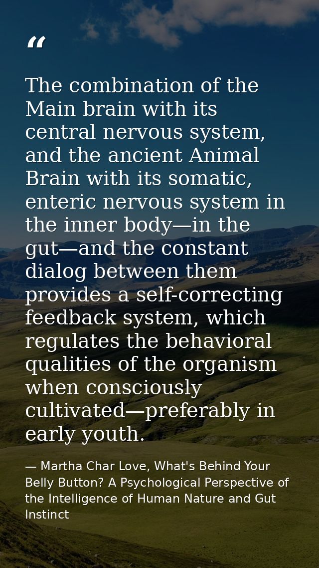 The combination of the Main brain with its central nervous system, and the ancient Animal Brain with its somatic, enteri — Martha Char Love, What's Behind Your Belly Button? A Psychological Perspective of the Intelligence of Human Nature and Gut Instinct