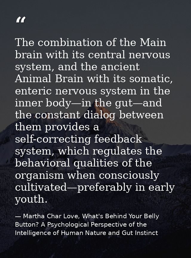 The combination of the Main brain with its central nervous system, and the ancient Animal Brain with its somatic, enteri — Martha Char Love, What's Behind Your Belly Button? A Psychological Perspective of the Intelligence of Human Nature and Gut Instinct