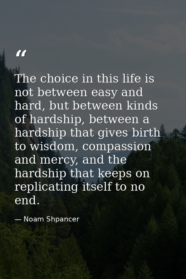 The choice in this life is not between easy and hard, but between kinds of hardship, between a hardship that gives birth — Noam Shpancer