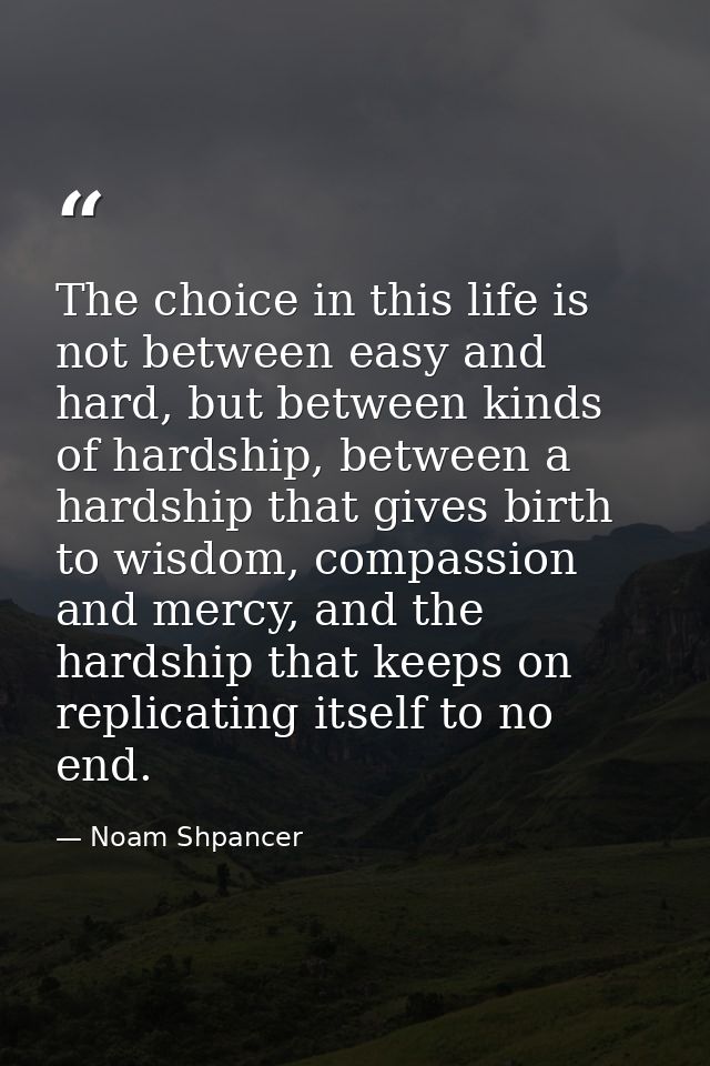 The choice in this life is not between easy and hard, but between kinds of hardship, between a hardship that gives birth — Noam Shpancer