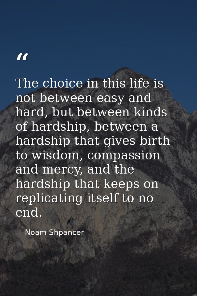 The choice in this life is not between easy and hard, but between kinds of hardship, between a hardship that gives birth — Noam Shpancer