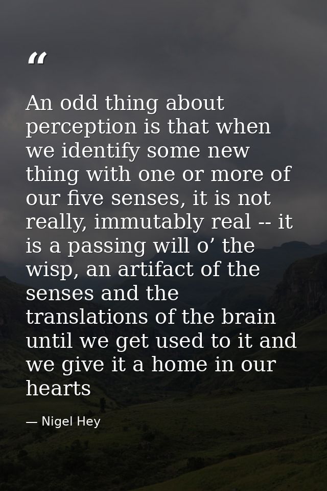 An odd thing about perception is that when we identify some new thing with one or more of our five senses, it is not rea — Nigel Hey