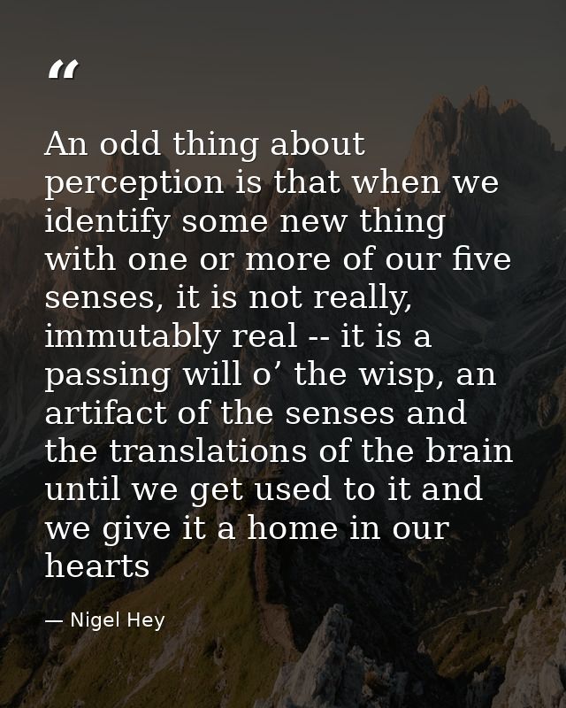 An odd thing about perception is that when we identify some new thing with one or more of our five senses, it is not rea — Nigel Hey