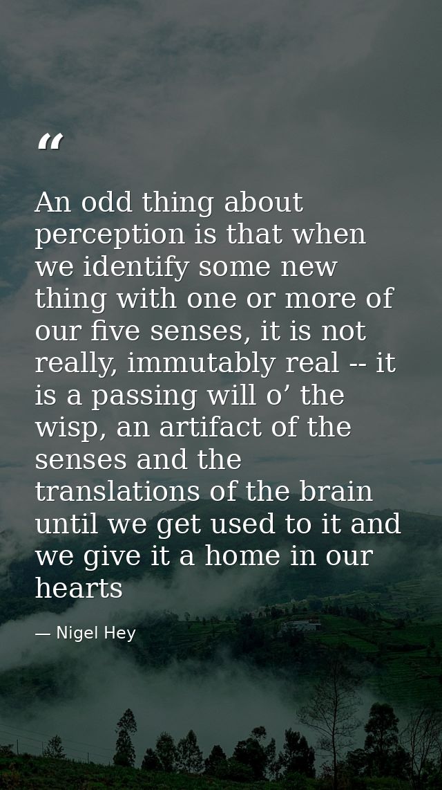 An odd thing about perception is that when we identify some new thing with one or more of our five senses, it is not rea — Nigel Hey
