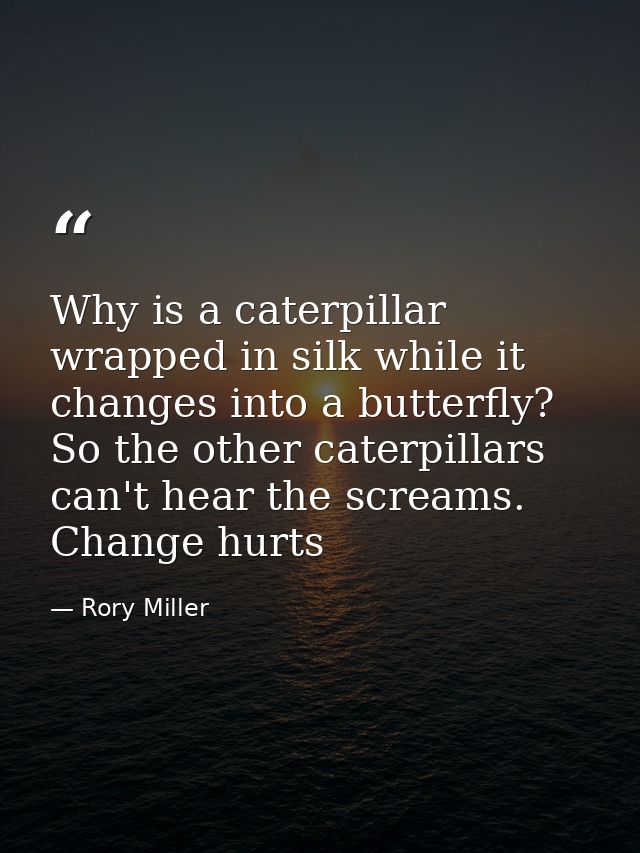 Why is a caterpillar wrapped in silk while it changes into a butterfly? So the other caterpillars can't hear the screams — Rory Miller