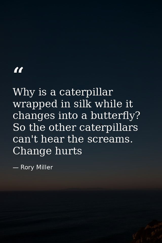 Why is a caterpillar wrapped in silk while it changes into a butterfly? So the other caterpillars can't hear the screams — Rory Miller