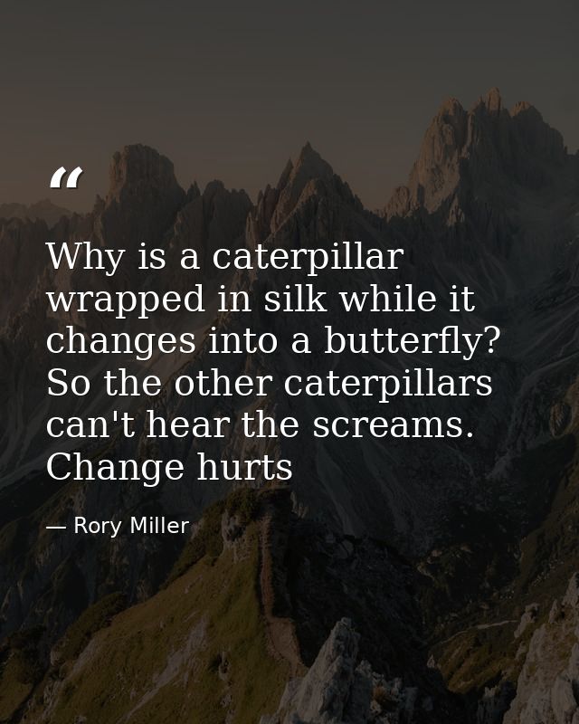 Why is a caterpillar wrapped in silk while it changes into a butterfly? So the other caterpillars can't hear the screams — Rory Miller