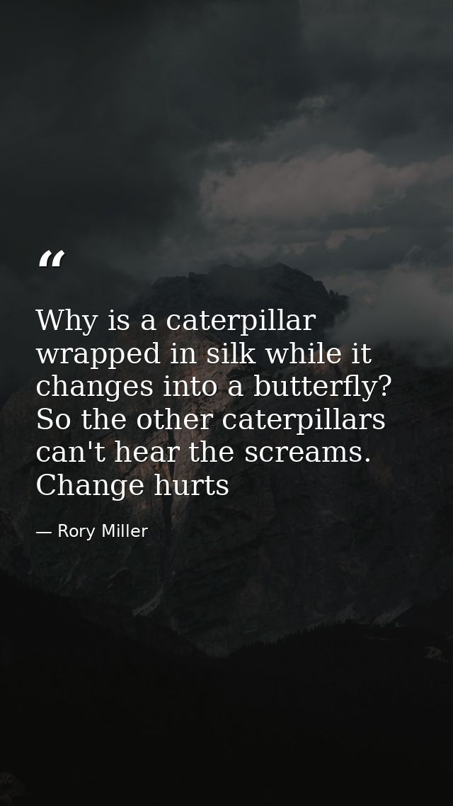 Why is a caterpillar wrapped in silk while it changes into a butterfly? So the other caterpillars can't hear the screams — Rory Miller