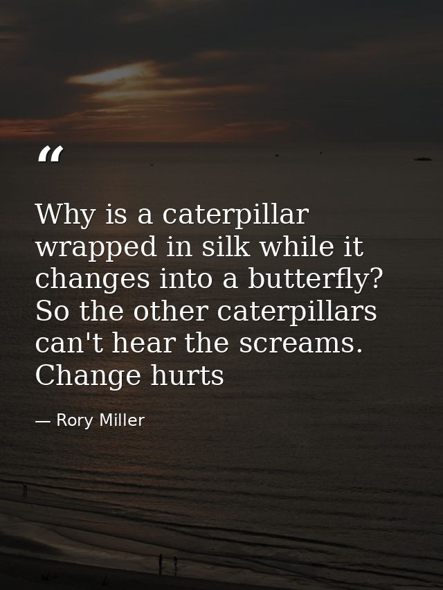 Why is a caterpillar wrapped in silk while it changes into a butterfly? So the other caterpillars can't hear the screams — Rory Miller