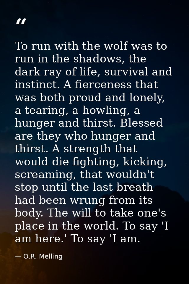 To run with the wolf was to run in the shadows, the dark ray of life, survival and instinct. A fierceness that was both  — O.R. Melling