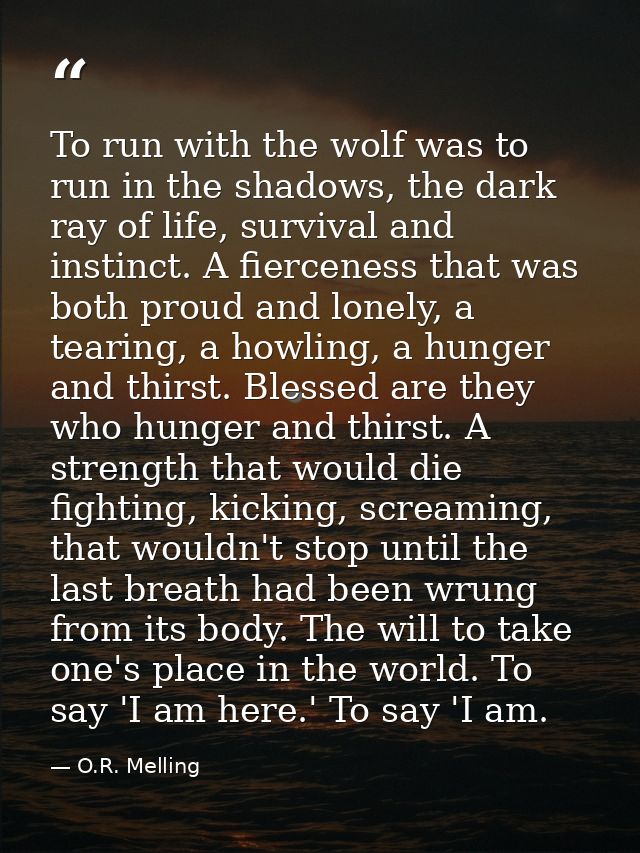 To run with the wolf was to run in the shadows, the dark ray of life, survival and instinct. A fierceness that was both  — O.R. Melling