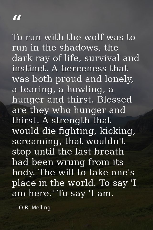 To run with the wolf was to run in the shadows, the dark ray of life, survival and instinct. A fierceness that was both  — O.R. Melling