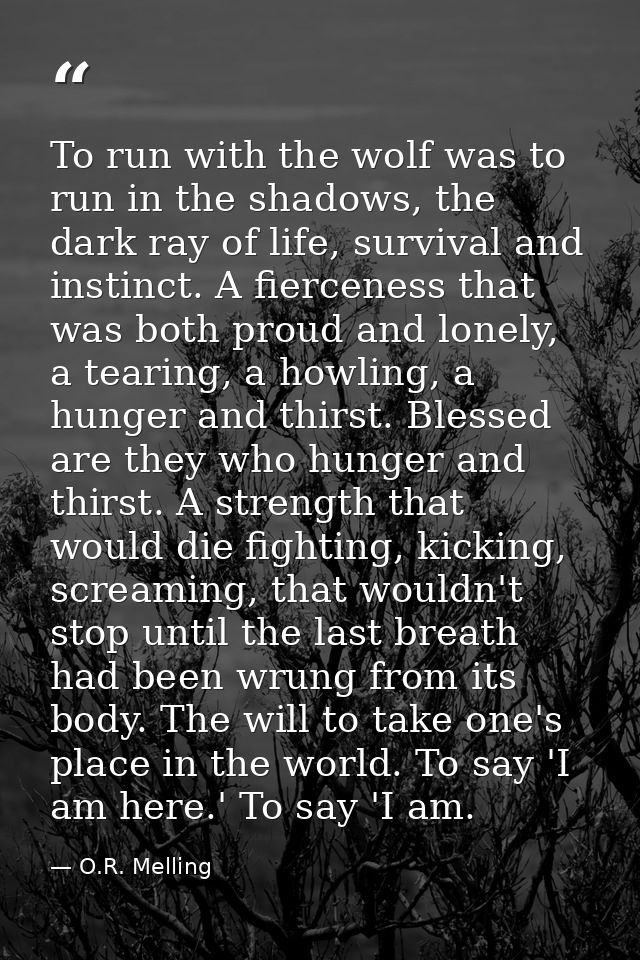 To run with the wolf was to run in the shadows, the dark ray of life, survival and instinct. A fierceness that was both  — O.R. Melling