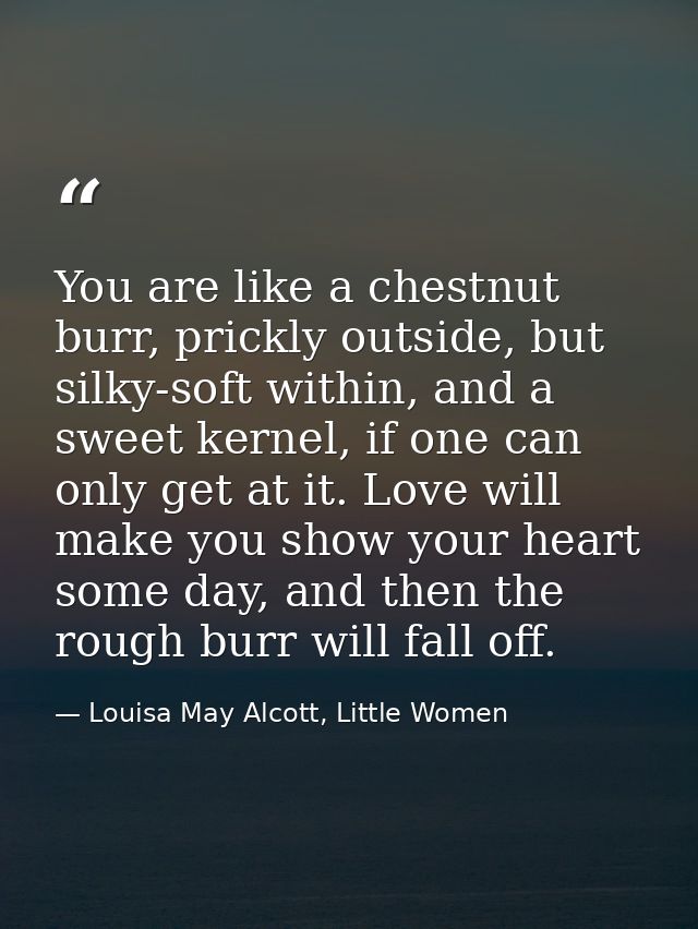 You are like a chestnut burr, prickly outside, but silky-soft within, and a sweet kernel, if one can only get at it. Lov — Louisa May Alcott, Little Women