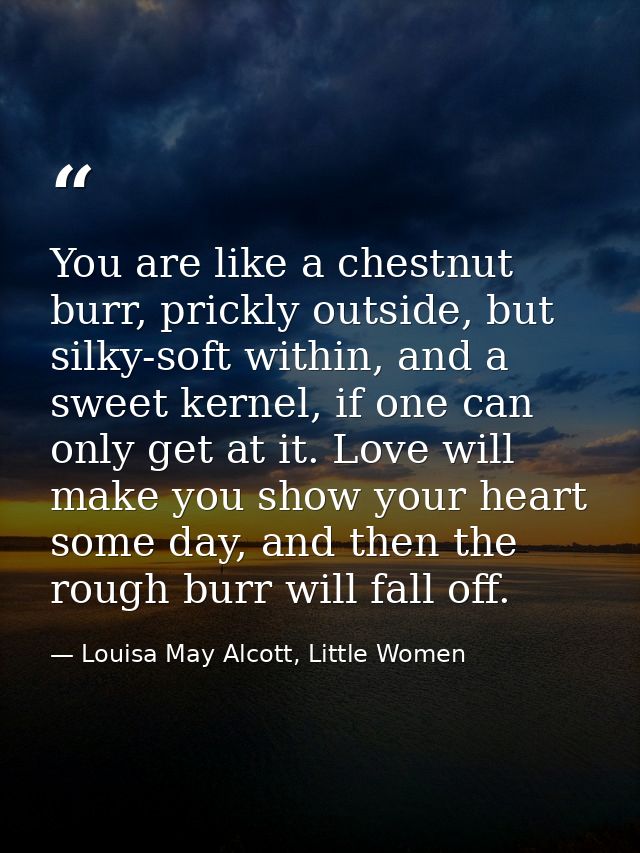 You are like a chestnut burr, prickly outside, but silky-soft within, and a sweet kernel, if one can only get at it. Lov — Louisa May Alcott, Little Women