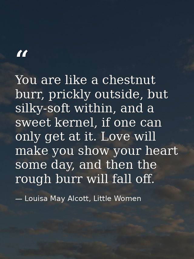 You are like a chestnut burr, prickly outside, but silky-soft within, and a sweet kernel, if one can only get at it. Lov — Louisa May Alcott, Little Women