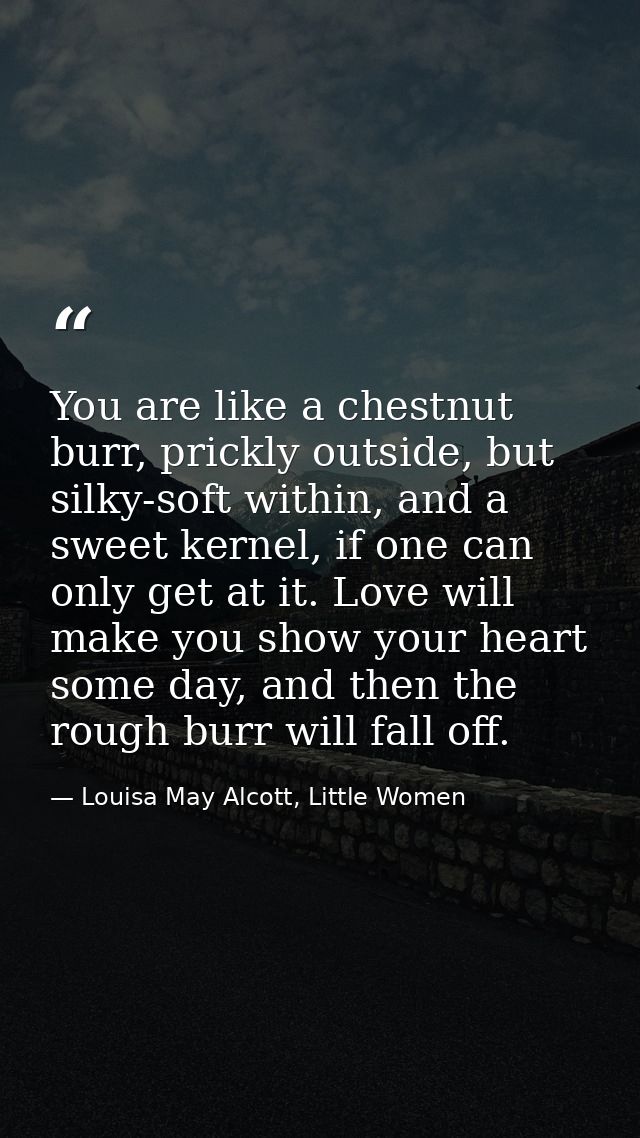You are like a chestnut burr, prickly outside, but silky-soft within, and a sweet kernel, if one can only get at it. Lov — Louisa May Alcott, Little Women