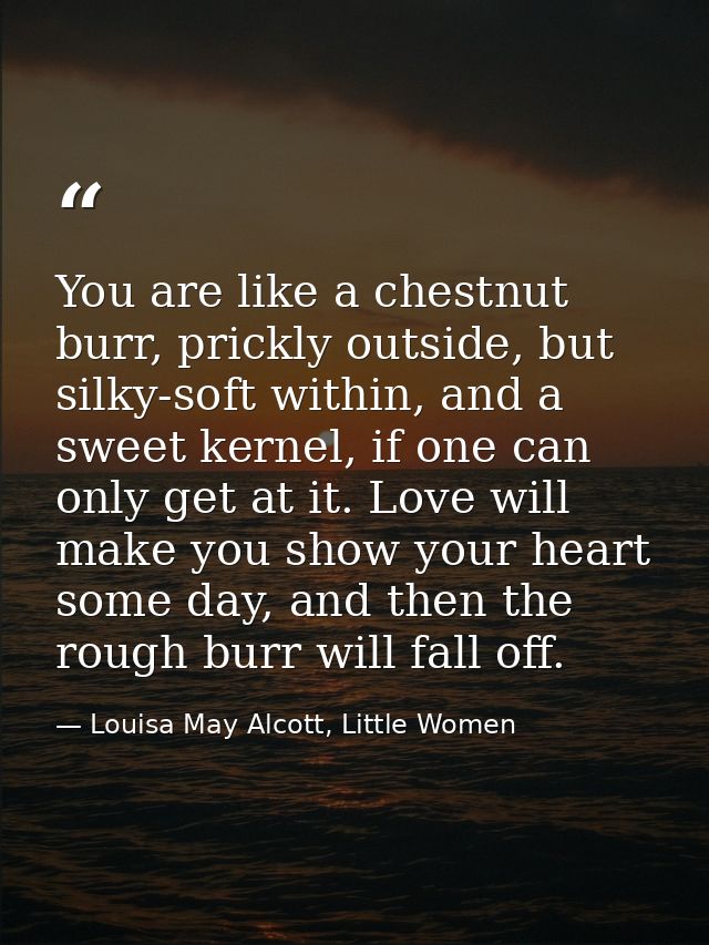 You are like a chestnut burr, prickly outside, but silky-soft within, and a sweet kernel, if one can only get at it. Lov — Louisa May Alcott, Little Women